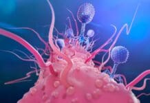 Things You Did Not Know About Superbugs