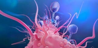 Things You Did Not Know About Superbugs