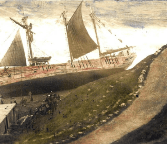 Treasure of the Golden Grape