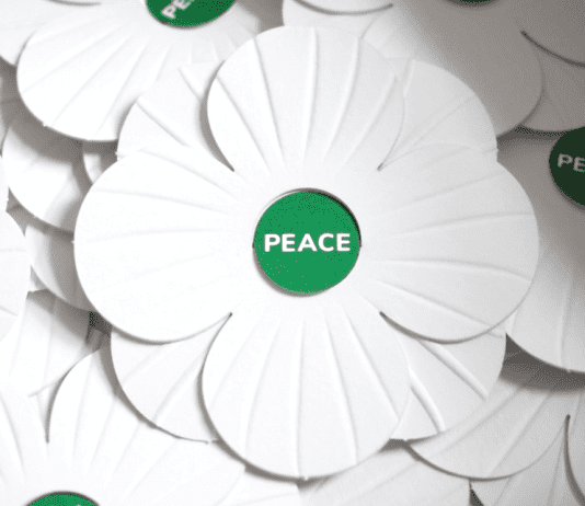 Why I Wear The White Poppy, Not The Red Poppy