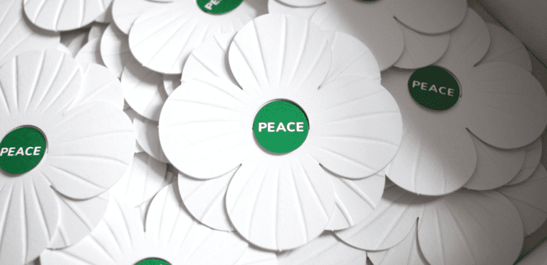 Why I Wear The White Poppy, Not The Red Poppy