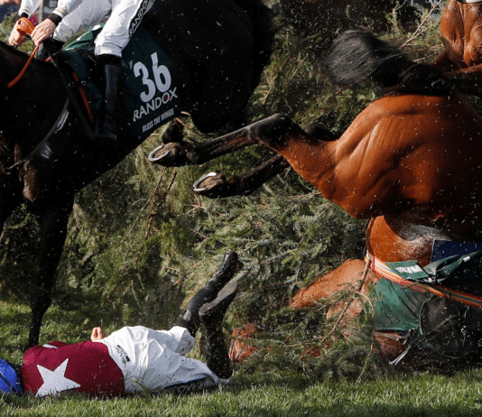 The Grand National: Horsemeat and Hypocrisy