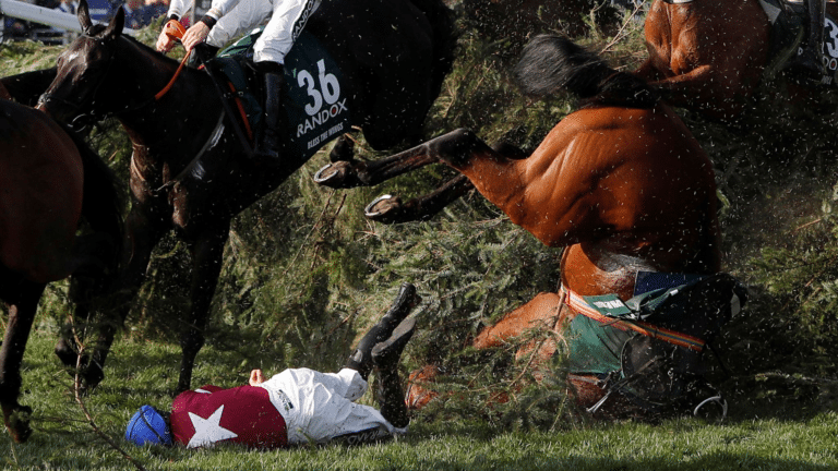 The Grand National: Horsemeat and Hypocrisy