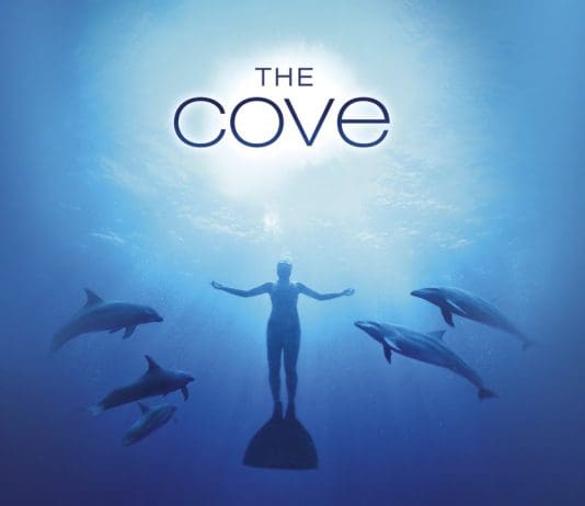 The Cove