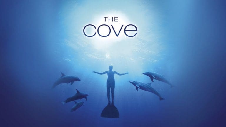 The Cove