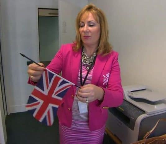 Former UKIP MEP Janice Atkinson has called for the death penalty for suicide bombers. I have no more words