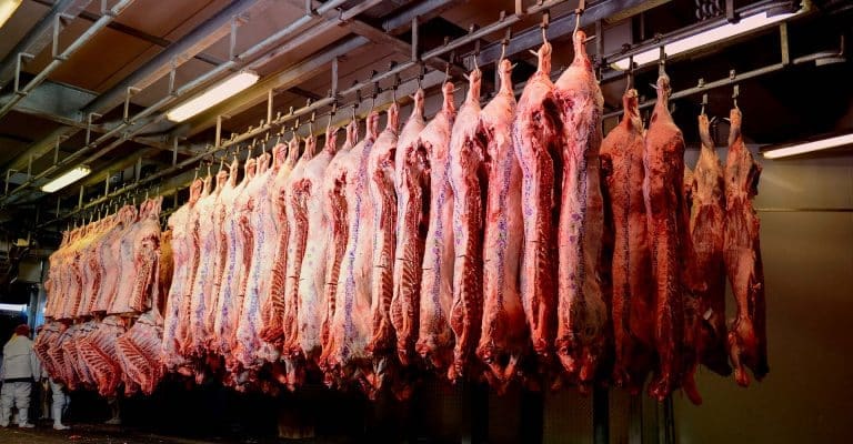 Leaked Dossier Exposes Plan To Ditch Food, Environmental and Health Standards