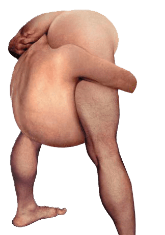 Are all pro Brexit people ‘thick bigoted bastards’?