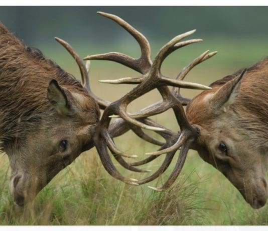 BREAKING THE BREXIT DEADLOCK