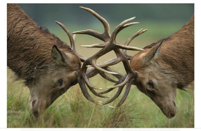 BREAKING THE BREXIT DEADLOCK