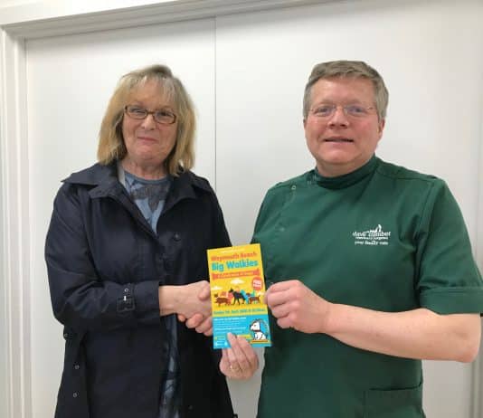 THE WEYMOUTH BEACH BIG WALKIES EVENT RETURNS ON SUNDAY 5TH APRIL 2020