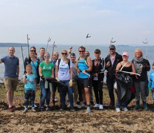 Actisense Begin Sea Life Trust Charity Partnership with Poole Beach Clean