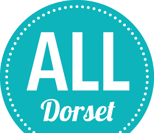 Last call for Independent candidates in North and East Dorset as elections loom