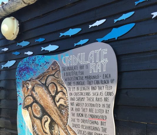 Newly refurbished marine centre in Kimmeridge open to the public