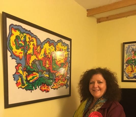 LABOUR SELECTS CARRALYN PARKES TO REGAIN SOUTH DORSET