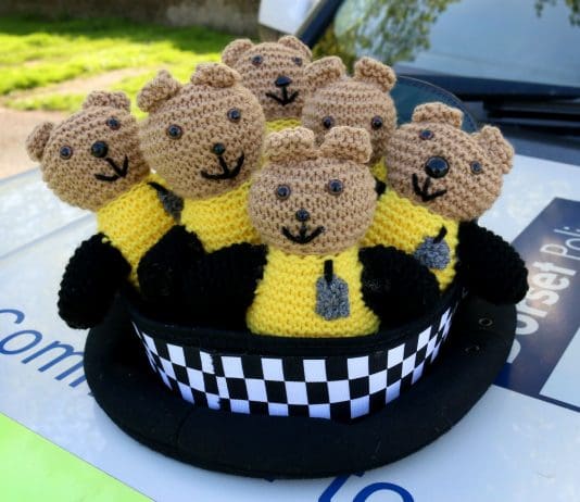 Could you help the police by knitting teddies for children in distress?