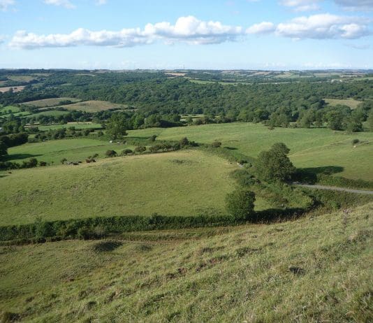 New farming group set up to help business & environment in Dorset