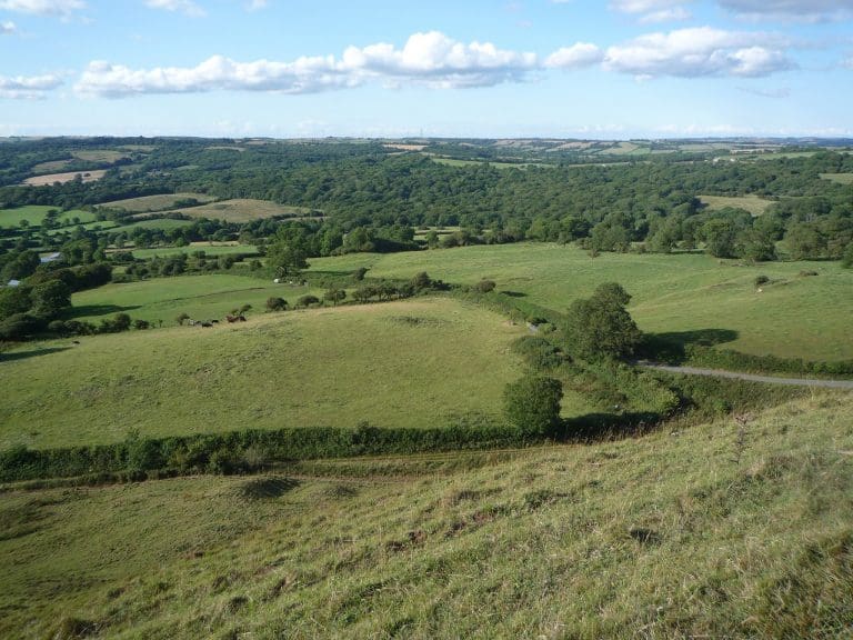 New farming group set up to help business & environment in Dorset