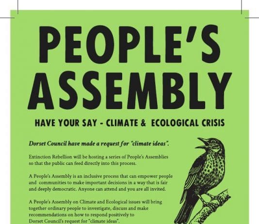 HAVE YOUR SAY DORSET COUNCIL ‘CALL FOR IDEAS’ PUBLIC ASSEMBLIES