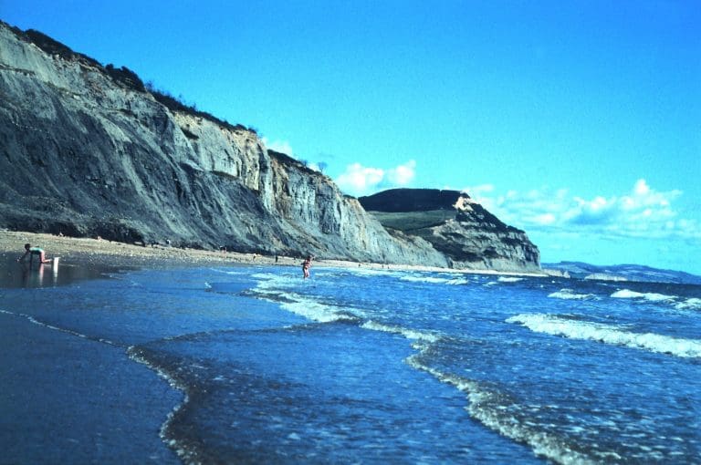 Free Public Wi-Fi now at Charmouth Beach