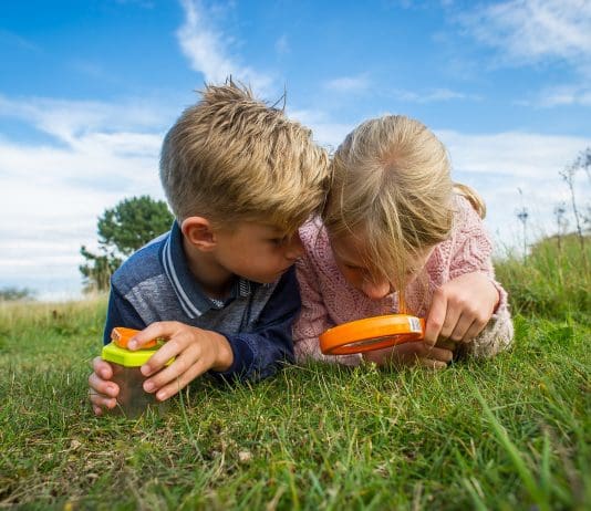 Celebrate nature with the Big Wild Weekend in Dorset