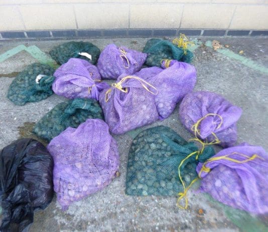 Portland man prosecuted for fraud and food safety offences