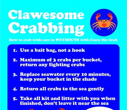 SOME GUIDELINES FOR CLAWESOME CRABBING IN WEYMOUTH