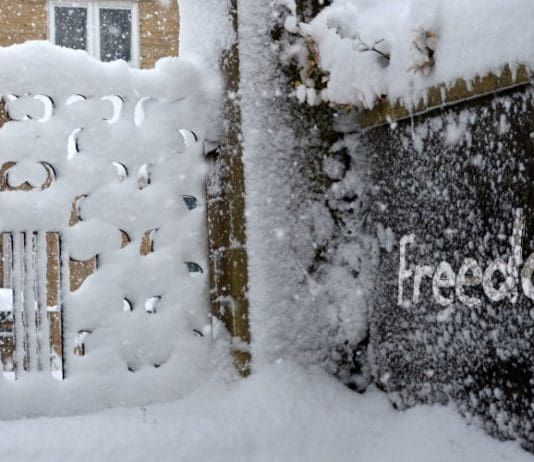 Freedom and mental health