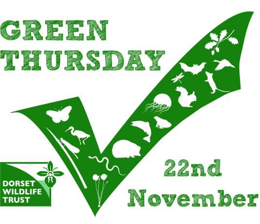DWT Green Thursday retail event returns for 2018