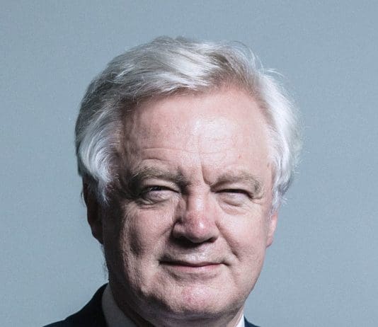 Who needs the EU David Davis?