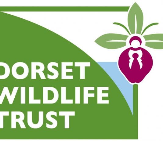 Wildlife Events in Dorset September 2018