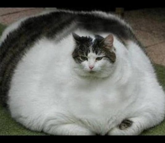 This is how the UK economy works