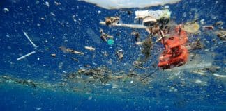 ocean plastic detritus