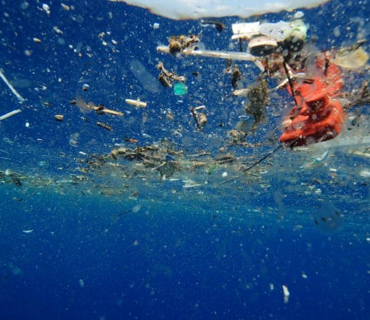 Turning the tide – reducing single-use plastic on Bournemouth, Christchurch and Poole Seafront ocean plastic detritus