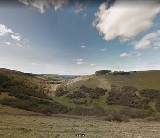 Tour Dorset Wildlife Trust Nature Reserves online