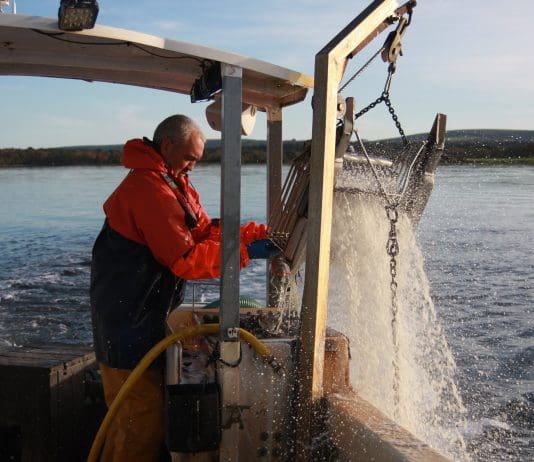 DWT helps introduce a world first in seafood labelling to Dorset