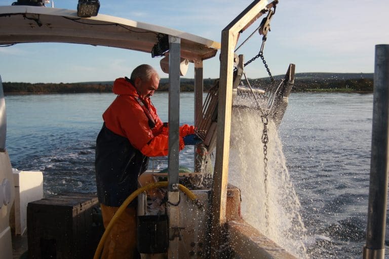 DWT helps introduce a world first in seafood labelling to Dorset