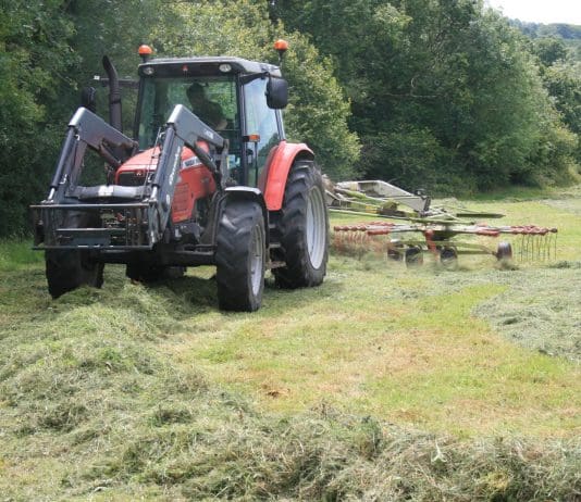 New Agriculture Bill is vital for the recovery of nature in Dorset