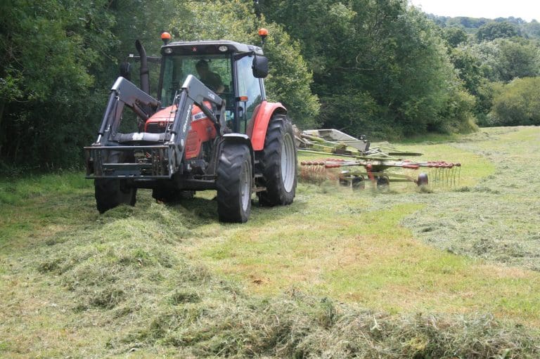 New Agriculture Bill is vital for the recovery of nature in Dorset