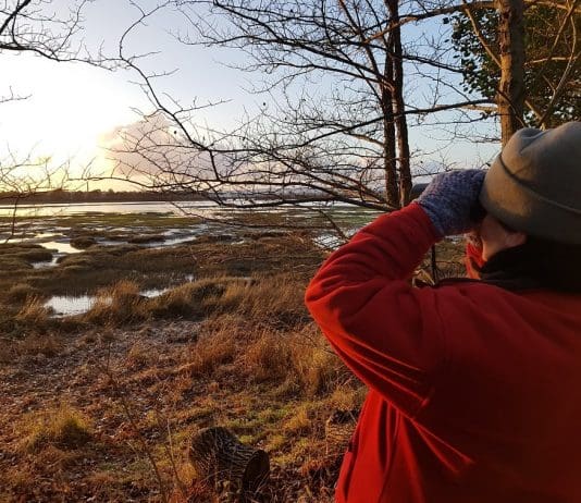 DWT runs free event for National Lottery players