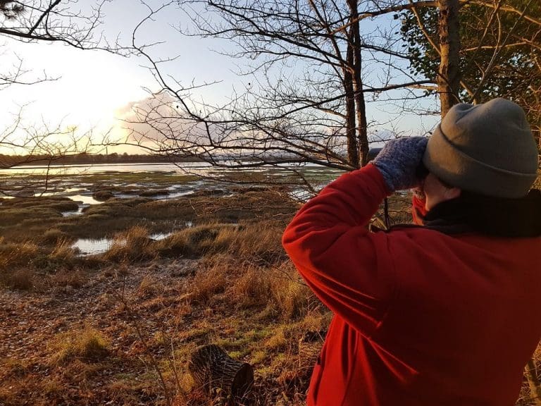 DWT runs free event for National Lottery players