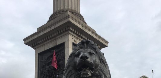 Trafalgar Lions with XR Banner