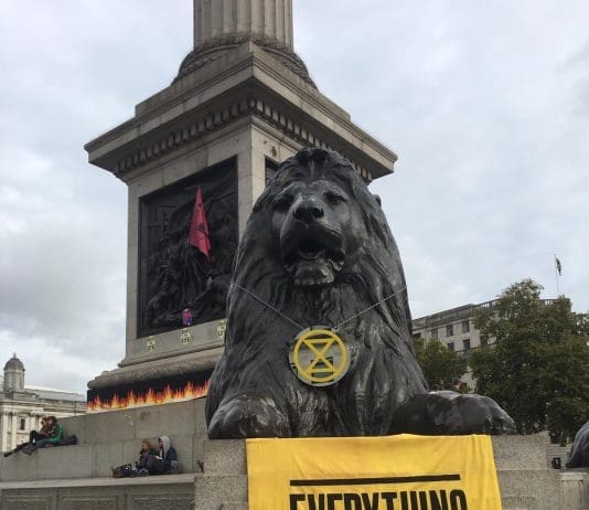 “You cannot have a functioning democracy with a mainstream media that is ruled by a small, unrepresentative sect of society…” Trafalgar Lions with XR Banner