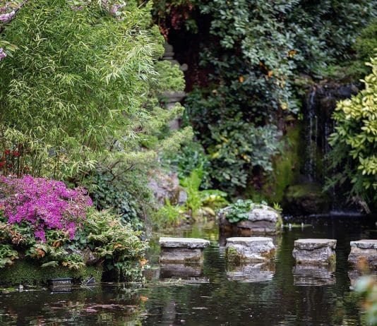 Compton Acres Celebrates Dorset Landscape with Amateur Photography Competition