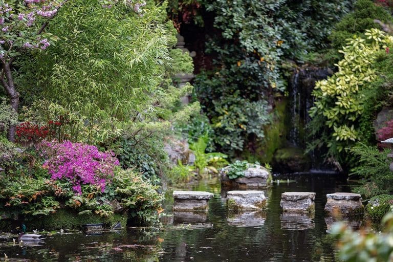 Compton Acres Celebrates Dorset Landscape with Amateur Photography Competition