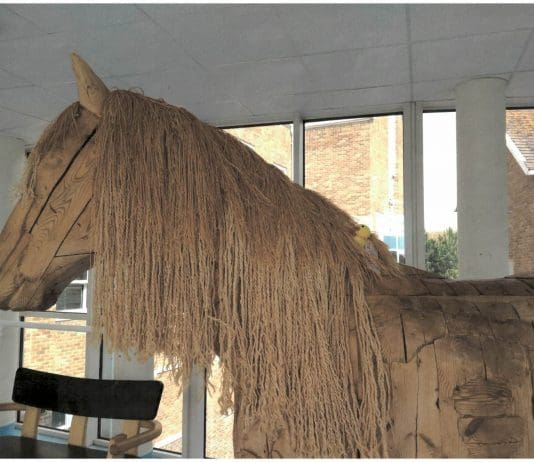 Hoard of ducks invade hospital