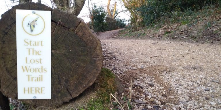 Come and explore our new ‘Lost Words’ nature trail