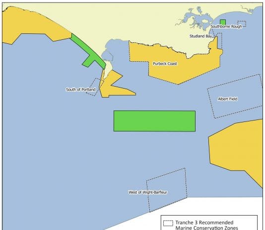 Public support needed for last chance to help protect our seas