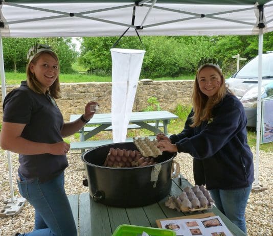 Celebrate 20th Anniversary with Bioblitz