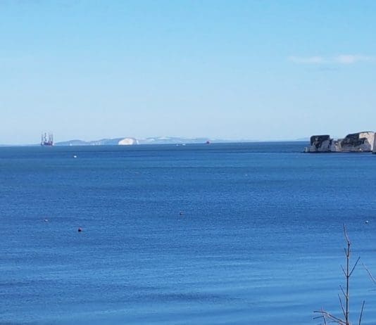 Oil well drilling in Poole Bay to be extended into critical wildlife period despite licence restrictions